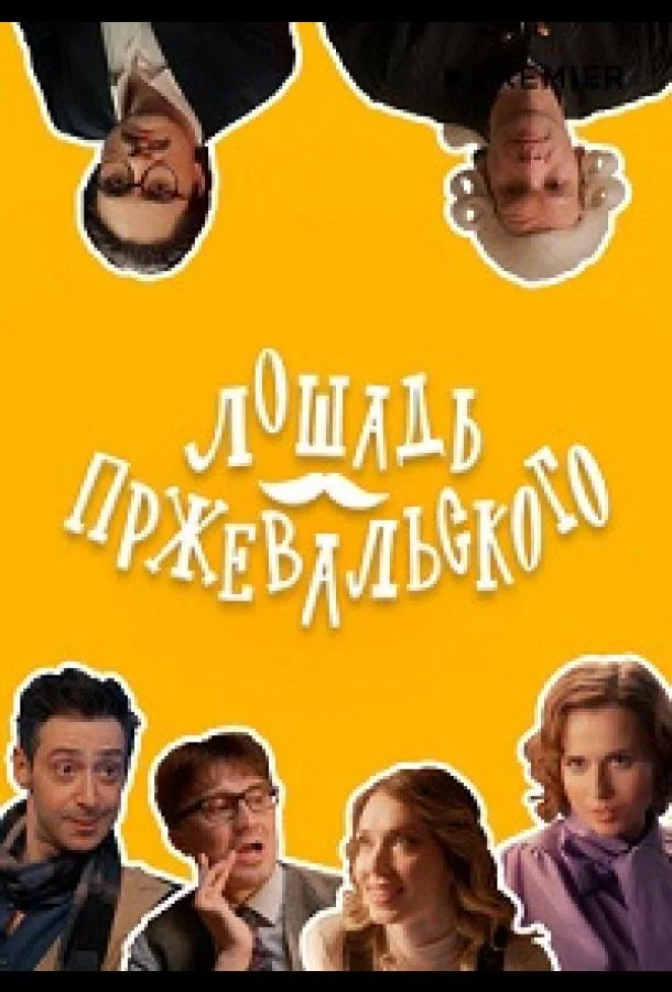 Смотреть Сериал Лошадь Пржевальского(2025) бесплатно